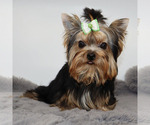 Image preview for Ad Listing. Nickname: Django