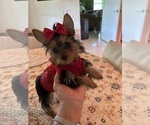 Image preview for Ad Listing. Nickname: Zoe