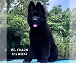Image preview for Ad Listing. Nickname: Mr Yellow