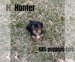 Image preview for Ad Listing. Nickname: Hunter