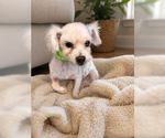 Small #3 Poovanese