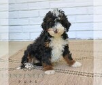 Image preview for Ad Listing. Nickname: Hannah