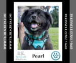 Small #1 Breeder Profile image