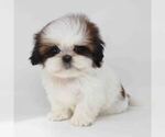 Image preview for Ad Listing. Nickname: Cona