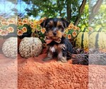 Image preview for Ad Listing. Nickname: Alec