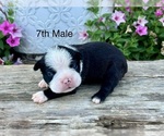 Image preview for Ad Listing. Nickname: 7th Male
