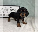 Image preview for Ad Listing. Nickname: Dakota