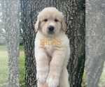 Image preview for Ad Listing. Nickname: Silas