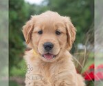 Image preview for Ad Listing. Nickname: Hayley