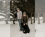 Small Photo #1 German Shepherd Dog Puppy For Sale in PULASKI, PA, USA