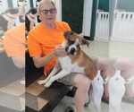 Small #9 Boxer