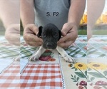  - Photo #2
