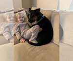 Small #4 Mutt