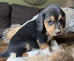 Image preview for Ad Listing. Nickname: Olivia