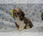 Image preview for Ad Listing. Nickname: Sweet Missy