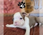 Image preview for Ad Listing. Nickname: CLAISE