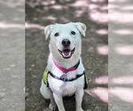 Small #2 Breeder Profile image