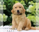 Image preview for Ad Listing. Nickname: Aiden