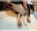  - Photo #3