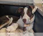 Image preview for Ad Listing. Nickname: Reyah