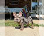 Image preview for Ad Listing. Nickname: Memphis belle