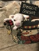 Small Photo #4 Faux Frenchbo Bulldog Puppy For Sale in ALTOONA, KS, USA