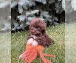 Image preview for Ad Listing. Nickname: Halle