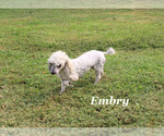 Image preview for Ad Listing. Nickname: Embry
