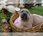 Image preview for Ad Listing. Nickname: Green collar