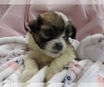 Image preview for Ad Listing. Nickname: Tina