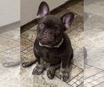 Image preview for Ad Listing. Nickname: Reese