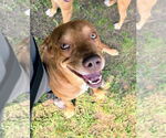 Small #2 Breeder Profile image