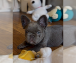 Image preview for Ad Listing. Nickname: Nimbus