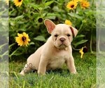 Image preview for Ad Listing. Nickname: Austin