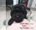 Image preview for Ad Listing. Nickname: Sadie