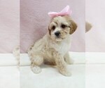 Image preview for Ad Listing. Nickname: lucy