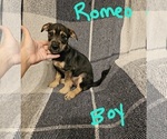 Small Chizer