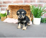 Image preview for Ad Listing. Nickname: Wanda