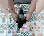  - Photo #3