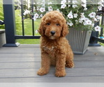 Image preview for Ad Listing. Nickname: Chase