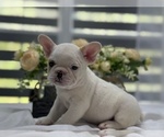 Image preview for Ad Listing. Nickname: Cloud