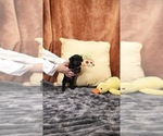  - Photo #3