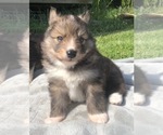 Image preview for Ad Listing. Nickname: Castiel
