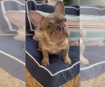 Image preview for Ad Listing. Nickname: Bacon