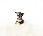 Image preview for Ad Listing. Nickname: Teeny Boots