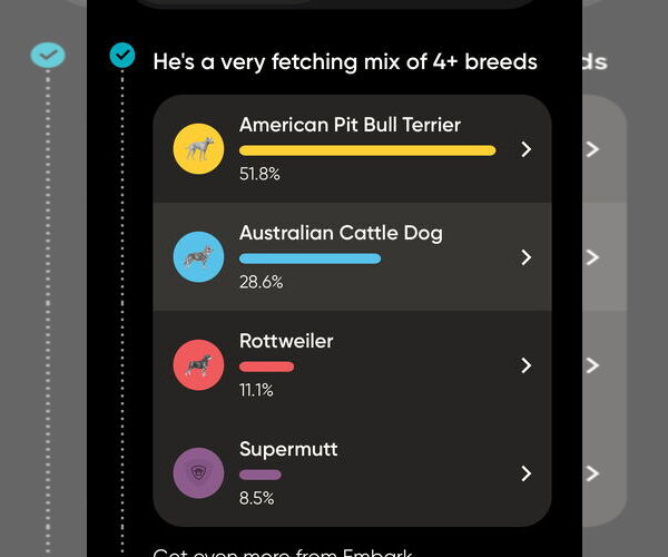 Medium Photo #7 Australian Shepherd-Unknown Mix Puppy For Sale in Minneapolis, MN, USA