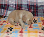  - Photo #2