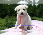Image preview for Ad Listing. Nickname: ChasingDaydream