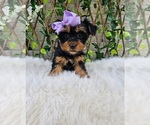 Image preview for Ad Listing. Nickname: Violet