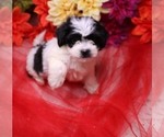 Image preview for Ad Listing. Nickname: Daffodill Sweet